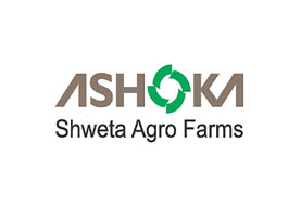 Rajesh Jadhav & Associates 